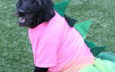 DIY Dinosaur Halloween Costume