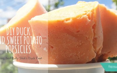 DIY Duck & Sweet Potato Popsicles