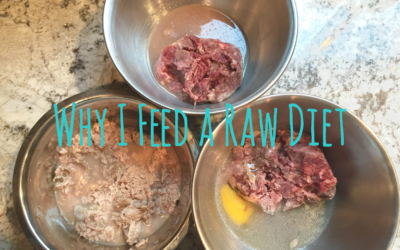 Why I Feed My Kids a Raw Diet