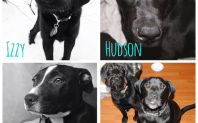 How I Ended Up with Three Beautiful Kids