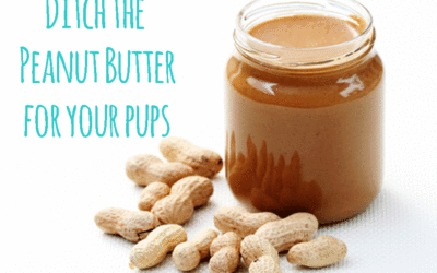 Why Peanut Butter is Bad for Your Dog