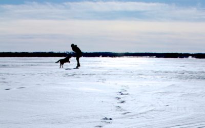 Wintery Wonderland Weekend