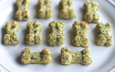 Spinach, Apple & Carrot Homemade Dog Treats
