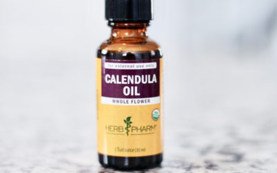 Calendula: Healing Herb for Dog’s Skin & Scrapes