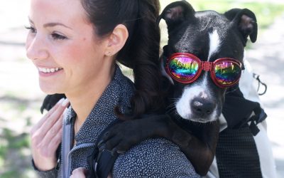 Mylah’s K9 Sport Sack Review