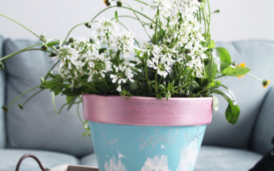 DIY Paw Print Potted Plant for Dog Moms