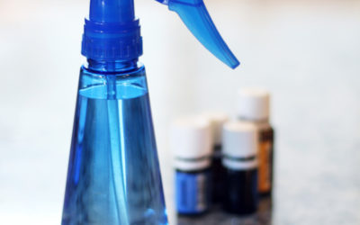 DIY Dog Safe Ant Control Solution