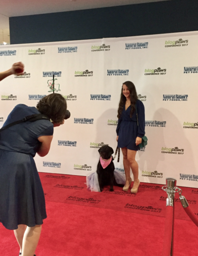 Screen Shot 2017-05-22 at 3.26.35 PM