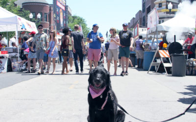 IZZY’S CHICAGO STREET FEST GUIDE: Rib Fest