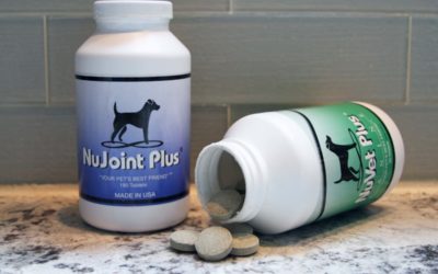 Natural Joint Supplements that Actually Work