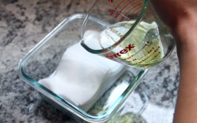 DIY Paw Wipes, Travel Friendly