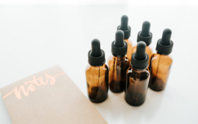 Let’s Join Forces to Help Our Dogs Live Longer, Healthier Lives