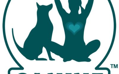 10/8 Canine Flow Retreat in Boulder, CO